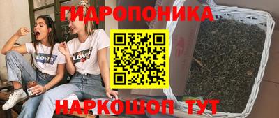 Альфа ПВП Дубна