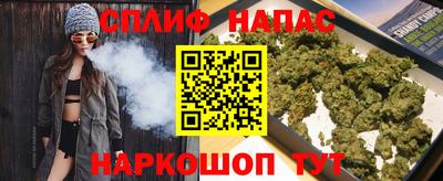 Альфа ПВП Дубна