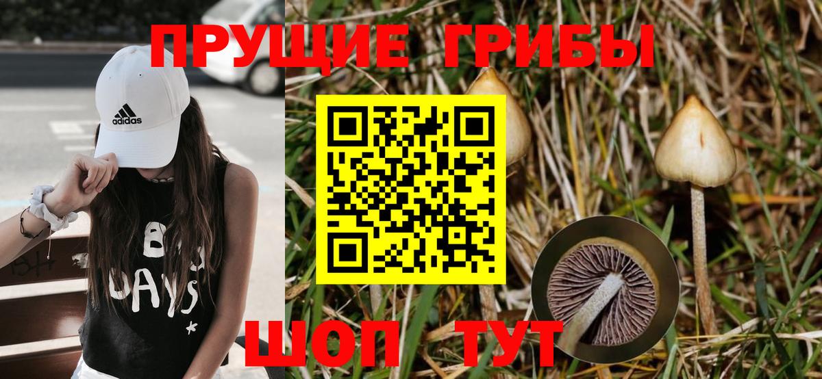 Псилоцибиновые грибы мухоморы Кемерово